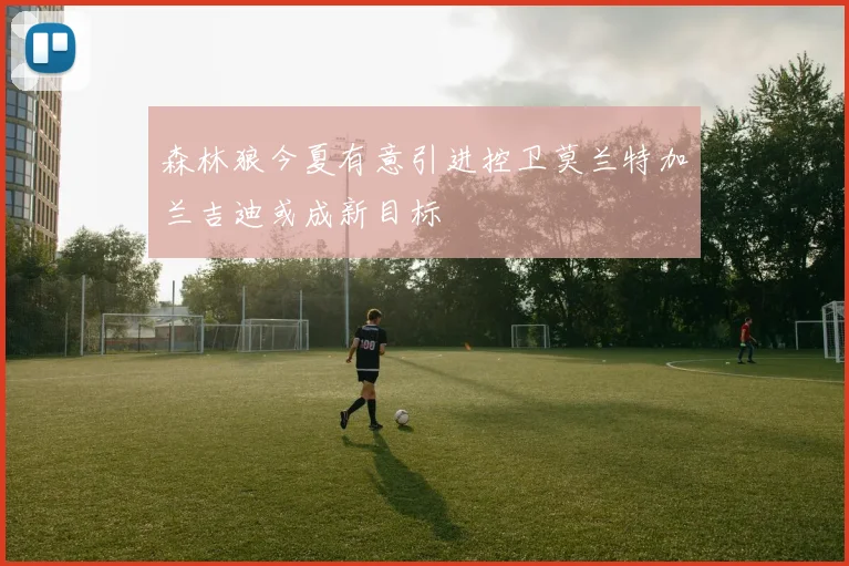 森林狼今夏有意引进控卫莫兰特加兰吉迪或成新目标